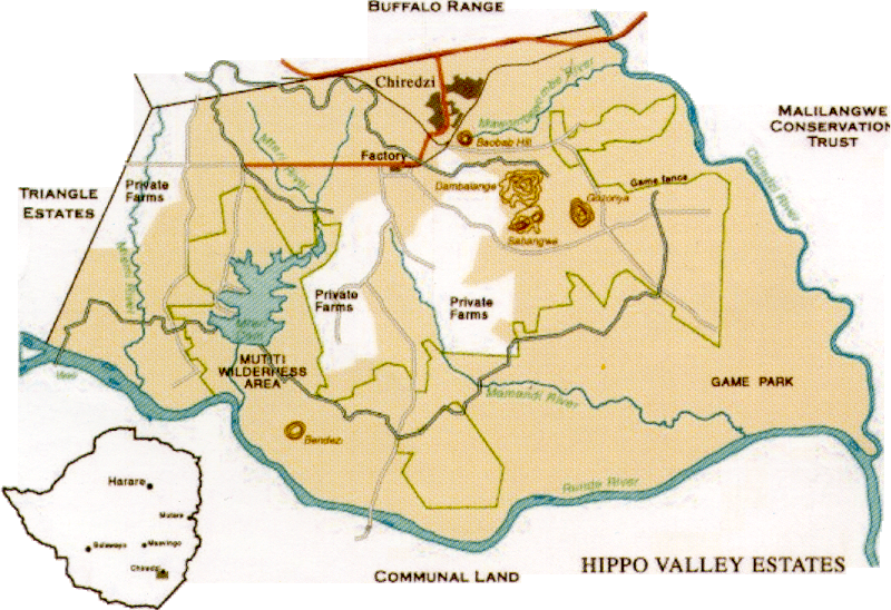 600 occupy sugar estates